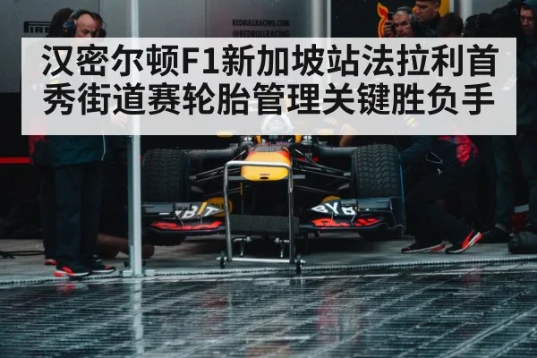 Formula 1 pit stop crew